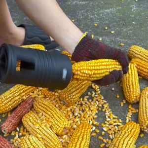 Dụng cụ tách hạt ngô thông minh gắn máy khoan vít