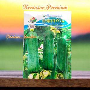 (KEMASAN PREMIUM) BIJI/BENIH BLUSTRU LOOFAH (isi -+40 Butir)