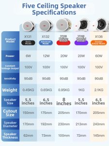 Aigo | Ceiling-mounted Speaker Kit for Commercial and Home Use