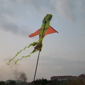 Diều Cá Vàng Ngọc Ngà