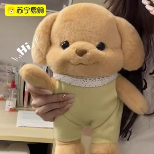 Gối Búp Bê Chó Cưng Nhồi Bông Hình Chú Chó Ngủ Gối Búp Bê Cho Bé Gái Trẻ Tuổi Chơi Đồ Chơi Nhồi Bông Dễ Thương Quà Tặng Cho Bé Gái