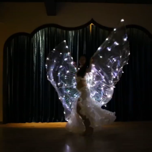 Belly Dance wings LED Wings Adult Kids Glowing Luminous Performance Costume Back Decoration Stage Performance Prop Isis Wings white Multiple colors