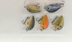 ชุดเหยื่อตกปลา เหยื่อปลอม สมจริงมาก ขนาดเล็ก 2.7 ซม 1.5 กรัม 1 กล่อง 5 ตัว