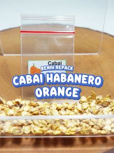 Benih Cabai Habanero Orange Unggulan Berkualitas