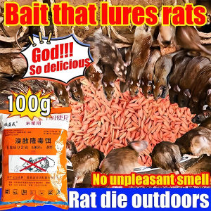 No rats within 2000 meters Rat poison killer 100g Racun tikus paling kuat MOGO 老鼠药Ubat tikus paling kuat mati Rat bait Rat repellent Racun tikus paling berkesan