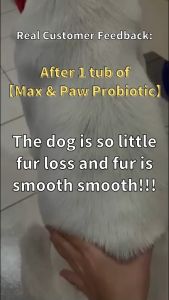 Max & Paw Probiotic Supplement Powder *HANDY PACK* for Puppies / Senior Dogs - 30packs X 2g