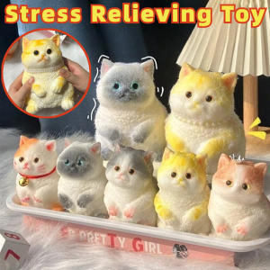 Cute Simulation Cat Squeeze Toy Silicone Pinch Decompression Relieving Toy Sensory Toys for Gif