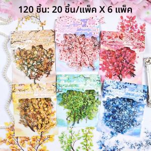 20/120 pcs พืชดอกไม้สัตว์เลี้ยงสติกเกอร์แพ็ค Scrapbooking Collage ขยะสมุดบันทึกบัญชีมือตกแต่งเครื่องเขียนสติกเกอร์