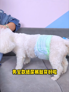Cocoyo Dog & Cat Pet Diapers Strong Absorb Soft and Breathable For Female And Male 10 PCS/pack XS/S/M/L/XL/XXL 狗狗生理裤尿不湿宠物卫生巾母狗月经裤