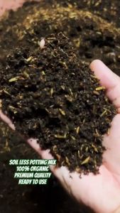 Organic Potting MixReady to use to your plants! For Ornamentals Succulent Cactus Veggies) (10Kgs) (Soil Less)