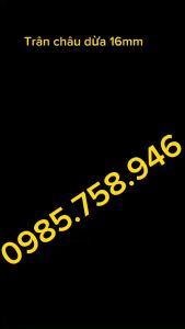 Máy vo viên DZ40 vo trân châu dừa viên tễ nhân bánh tiện lợi