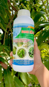 CANXI BO SỮA – Tăng Tỷ Lệ Đậu Trái Chống Rụng Bông Và Trái Non Chống Đen Trái Lép Hạt Năng Suất Cực Kỳ Cao (Chai 1 Lít)