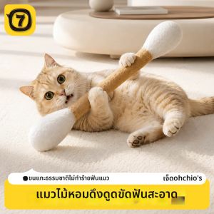 7o | Entertainment and Teething Cat Toy Wool Cotton Swab