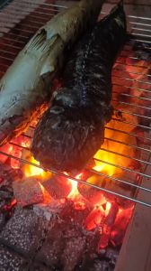 Than Gáo Dừa Nướng BBQ Không Khói Không Nổ Tia Lửa - Than Nướng Thịt - Than Sạch Không Khói - Kho Bỉm Thanh Ngân