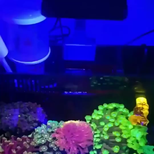 Aquarium LED akuarium ikan led Smart APP Control Fish Tank Light RGB LED light Sunrise Daylight Moonlight clip on Light