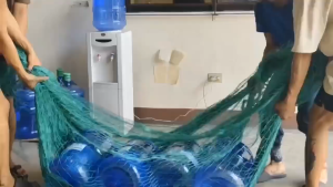 100M Freerange Net: The Ultimate Chicken Netting Solution