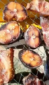 Khô Cá Rún Biển Cắt Khoanh Tẩm Vị Vừa Ăn - vựa khô Tú Sương