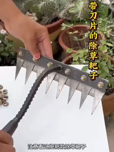 【COD】Weeding Rake Steel 5/7/8-Tooth Double Reinforced Weeding Rake  for Soil Loosen and Raking Tooth Weeding Steel Rake Weeding Tool  Heavy Duty Garden Farm Hoe Rake