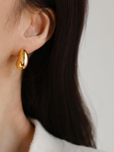 High Quality 925 Silver Needle Crescent Moon Ear Studs Womens Fashionable Commute Versatile Earrings Korean Style Alloy Geometric Pattern