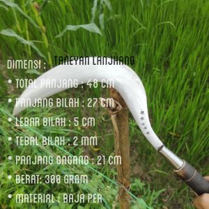 Arit bintang 5 super tajam model melengkung ukuran 48 cm / sabit rumput super tajam / arit tebang tebu super tajam / arit sabit super tajam / pande bintang Madura / arit Madura jumbo /arit saabit rumput jawa timur
