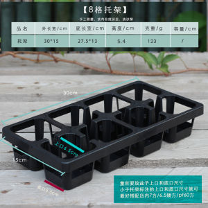Succulent Plant 7 Square Basin Plastic 8 Grid Bracket Combination Drainage Apricot Meat Cone Lithops Seedling Planting Flower Pot