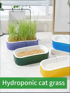 Soilless hydroponics cat grass box helps cats digest cat snacks cat mint planting cat grass basin