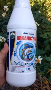 ĐẠM CÁ Organic Fish Phân Bón Vi Lượng Cao Cấp Dưỡng Cây Nuôi Trái Kích Rễ - Đậm Đặc 1 Lít
