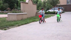 Bike For Kids Kids Bike 12/14/16 Inch Balance Bike for 2 to 12 Years Old Boys and Girls Rust-Proof Steel Frame & Soft Seat Childrens Bike for Long-Lasting Outdoor Riding