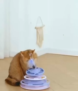 SKISOPGO 3-Layer Cat Toys Spinning Tower Ball Feather Bell Cat Teasing Toy Cat Tumbler Toys Mainan Kucing 猫玩具