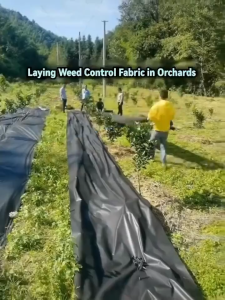 Black Weed Block Degradable Film 100/200M Weed Control Barrier Fabric Weeding Cloth Gardening Mat