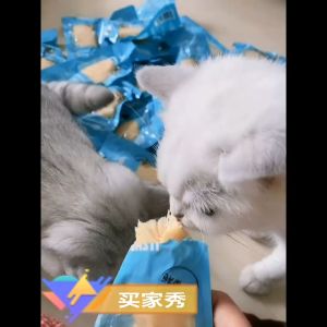 Steamed Chicken Breast Dog Treats Dog Snacks Dog Treat Snack Dog Snack Food Cat Snack Cat Treat Cat Treats Makanan Kucing