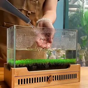 ดินปลูกหญ้าน้ำ ดินใส่ตู้ปลา 300g ดินปลูกต้นไม้น้ำสำหรับตู้ปลา บ่อปลา ดินคุณภาพดี ส่งจากไทย