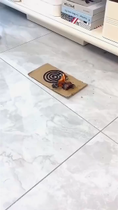 Portable Metal Mosquito Coil Holder Incense Holder Retro Incense Coil Burner Hanging Bird Cage Outdoor Home