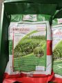 Hạt Giống Cỏ Sả Lá Lớn Mombasa Ghine Gumbo Tỉ Lệ Nảy Mầm Cao ( Hàng Bảo Đảm). 