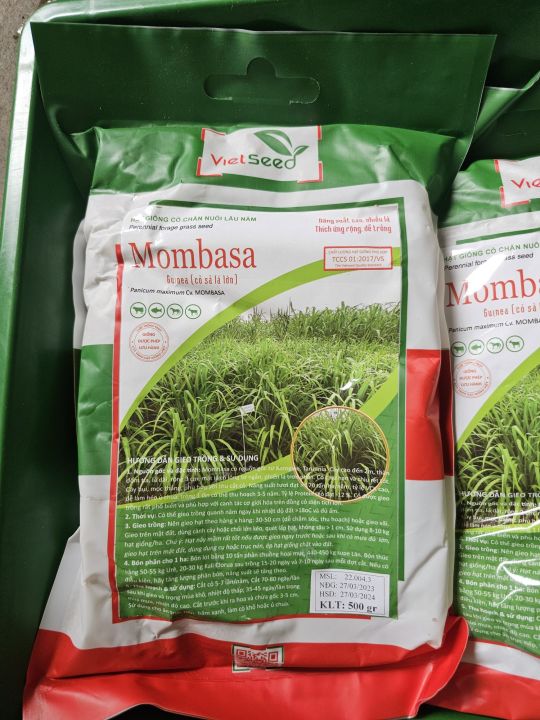 H%E1%BA%A1t%20Gi%E1%BB%91ng%20C%E1%BB%8F%20S%E1%BA%A3%20L%C3%A1%20L%E1%BB%9Bn%20Mombasa%20Ghine%20Gumbo%20T%E1%BB%89%20L%E1%BB%87%20N%E1%BA%A3y%20M%E1%BA%A7m%20Cao%20(%20H%C3%A0ng%20B%E1%BA%A3o%20%C4%90%E1%BA%A3m)%20-%20Image%203