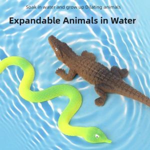 PH | Giant Water-swelling Crocodile Toy