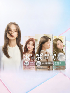 KAO | New Foam Hair Dye Gray Brown