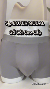 Quần sịp đùi nam không đường may quần boxer nam cotton sợi gỗ sồi cao cấp BM BOLDMAN kháng khuẩn