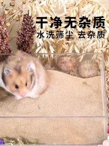 Bucatstate Hamster Bathing Sand 2.5kg Toilet Pasir Mandi Hamster Hamster Dessert Sand Fine Sand Coarse Sand Jomtheone