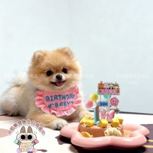 Pet Dog Cat Birthday Hat Saliva Towel Decoration Cake Candle Plugin Costume Puppy Kitten Party Supplies Pet Accessories