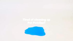 Petsup Pet Fast-Absorbent Magic Pee Pad 50pcs: A Comprehensive Guide