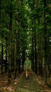 Greenforest Athena Kemeja Outdoor Lapangan - Kemeja PDL Outdoor - Kemeja Casual