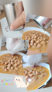 ⭐ อาหารสุนัข ⭐ชุด 10 กระป๋อง ขนาด 400g ใหญ่ สุดคุ้ม อาหารสุนัข กระป๋องเปลือย