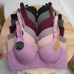 Bra Jumbo TALLY 7388 Size 38-44 Cup D Sayap Lebar Pakai Kawat / Bra Kawat Cup Besar Jumbo TALLY 7388