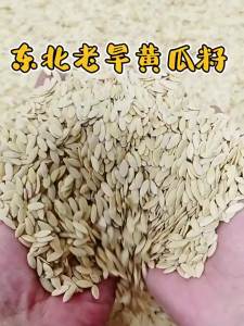 Raw and Roasted Cucumber Seed Powder 500g