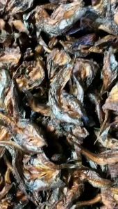 Ikan Lele Sale Khas Padangsidimpuan TAPSEL 250 GRAM