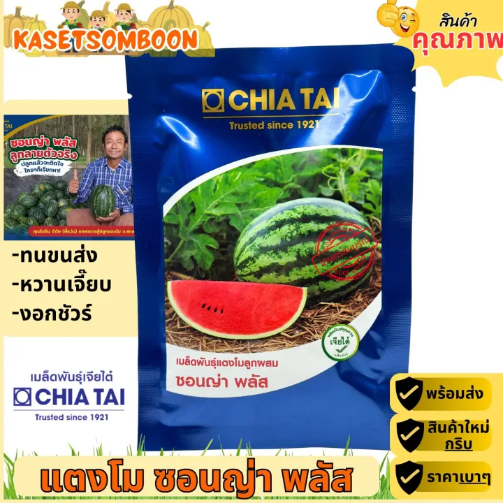 เมล็ดพันธุ์แตงโม ซอนญ่าพลัส แตงโมทรงกลม ผลดก