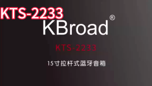 BTS-2233 BIG  singing Bluetooth speaker color LED charging party karaoke speaker