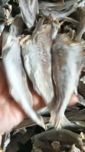 1kg Khô Cá Lù Đù Trung(30con/kg) Vị Mặn Vừa Ăn hương vị cũng sẽ thơm ngon và đậm đà hơn khi chiên cơm cá mặn- ĐẶC SẢN MINH TRIẾT
