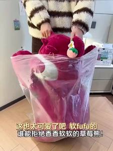 Licensed Large Stuffed Bear Plush Doll